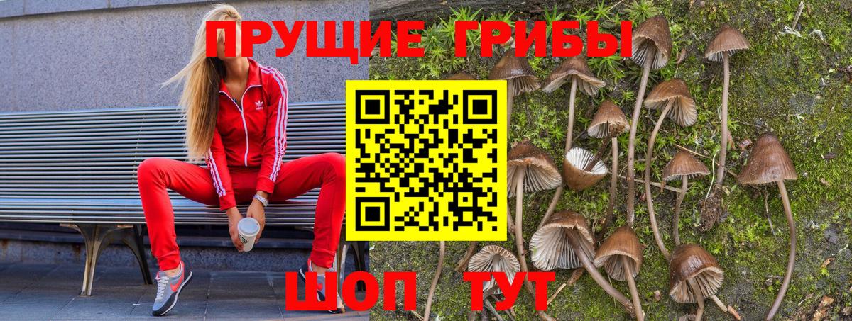 Горячий Ключ  Псилоцибиновые грибы мухоморы  где найти наркотики  Вход с VPN  Псилоцибиновые грибы Magic Shrooms 